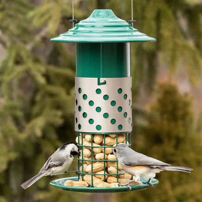 Combo Mealworm, Suet Balls or Peanut Feeder