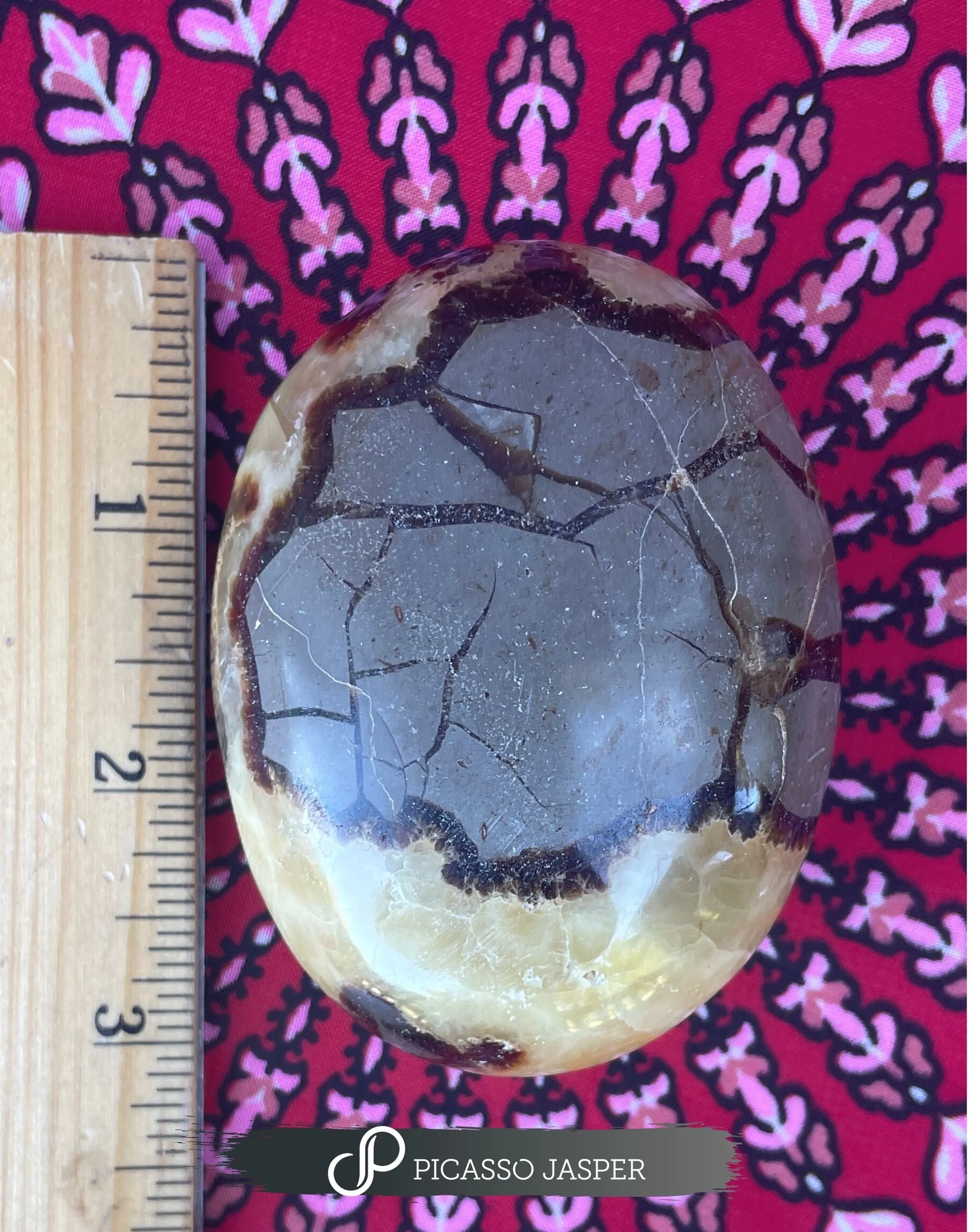 Septarian Palm Stone: Communication, Awakening, Grounding