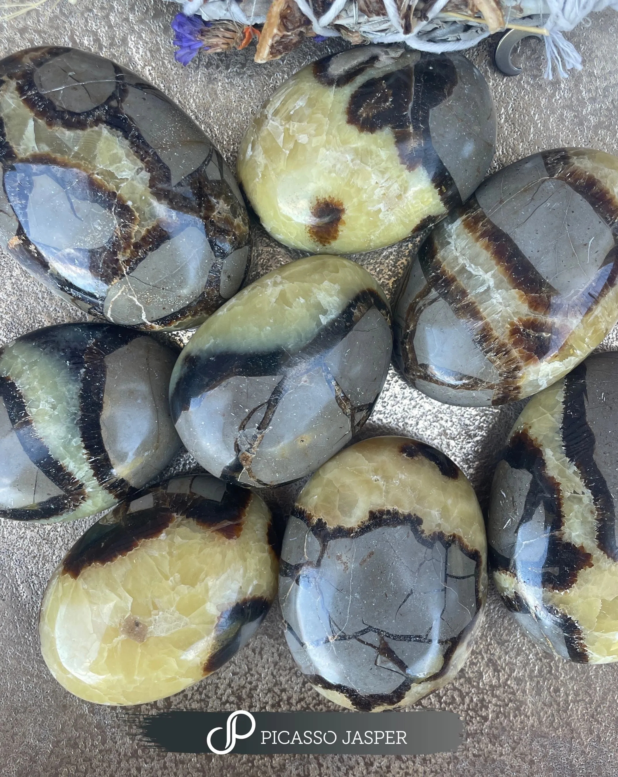 Septarian Palm Stone: Communication, Awakening, Grounding